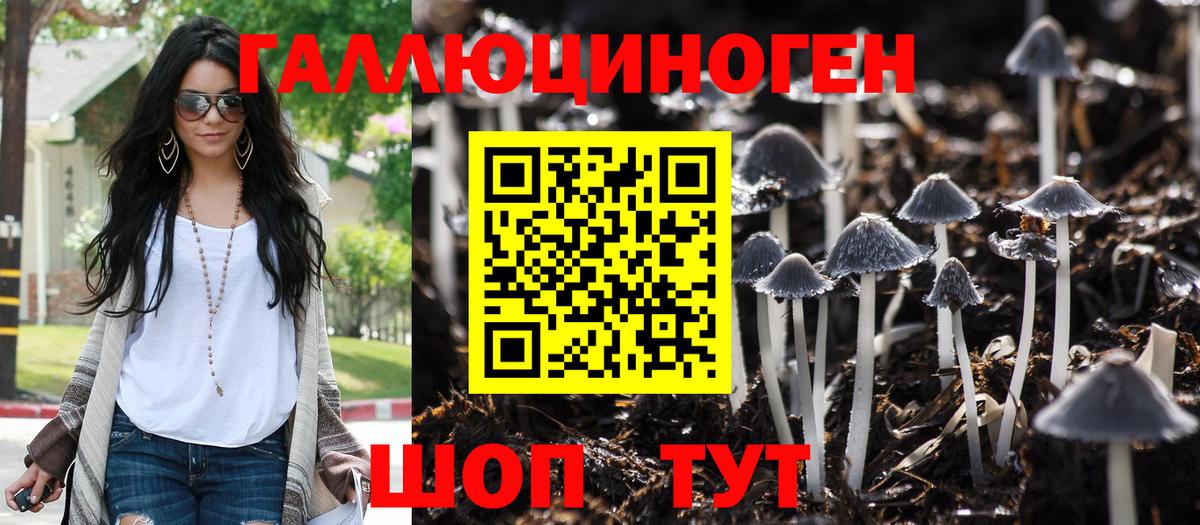 Галлюциногенные грибы Cubensis Вязьма