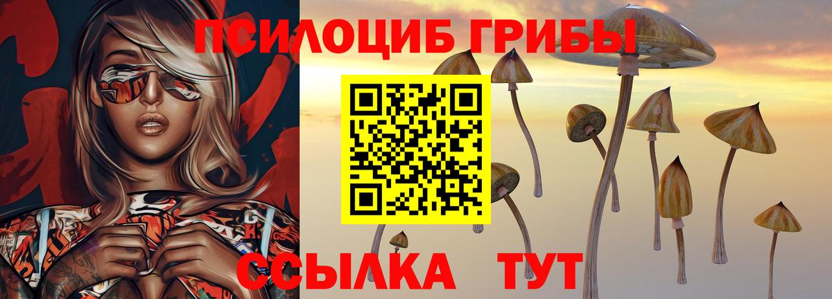 Псилоцибиновые грибы ЛСД  Вход с VPN  купить наркотик  Галлюциногенные грибы ЛСД  Вязьма 